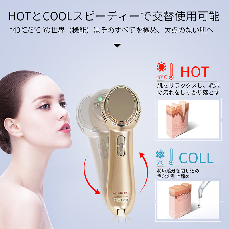 ARTISTIC&Co Dr.Flawless　ドクターフローレス 美顔器